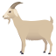 Goat :goat: 🐐