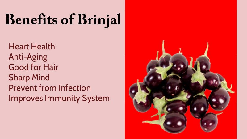 Brinjal_Benefits.jpg