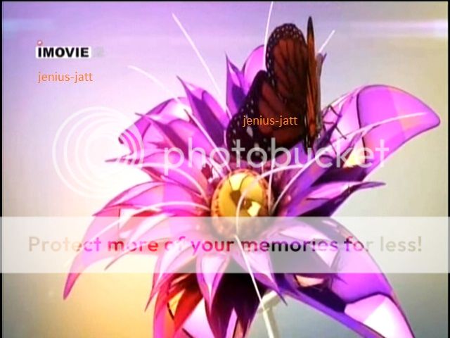 imovie1_zps583d5813.jpg