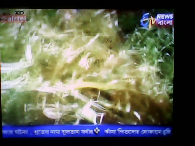 Etv_news_bangla_on_airtel.jpg