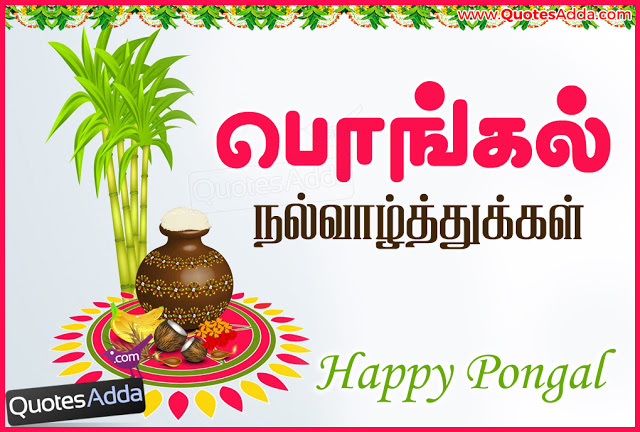 Happy_Pongal_Tamil_Quotations_akvithai_Best_Wall.jpg