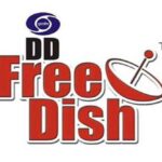 DD Free Dish AMP Logo