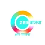 Zee Vajwa New AMP Logo